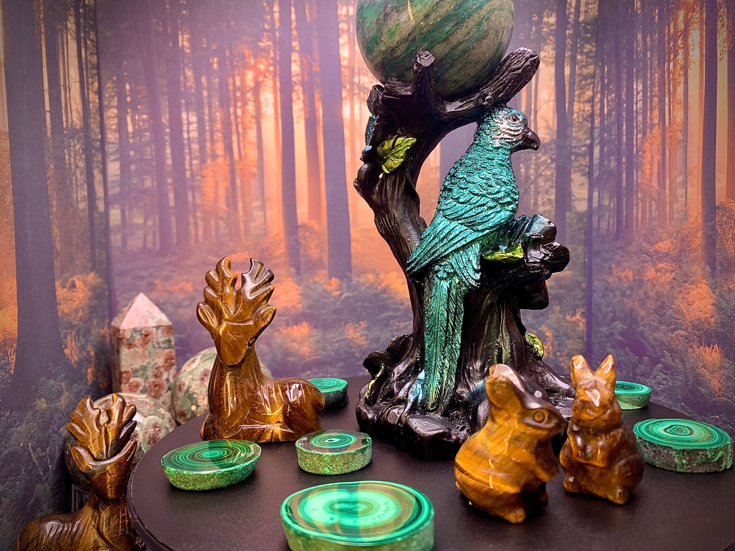 Tropical Bird 🦜 & Enchanted Tree Stump Sphere Stand