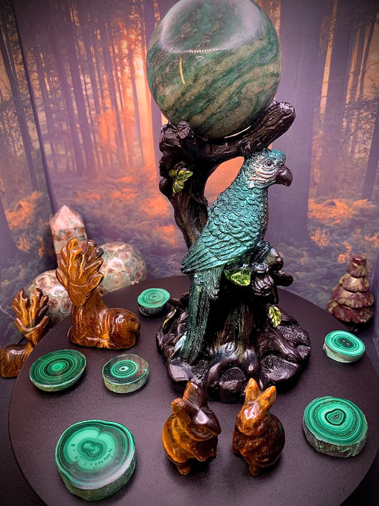 Tropical Bird 🦜 & Enchanted Tree Stump Sphere Stand