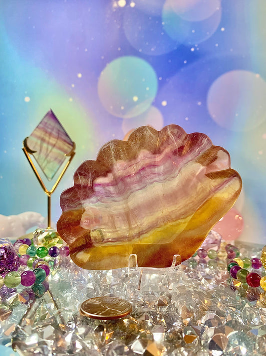Purple & Yellow Candy Fluorite Shell Bowl (Large)