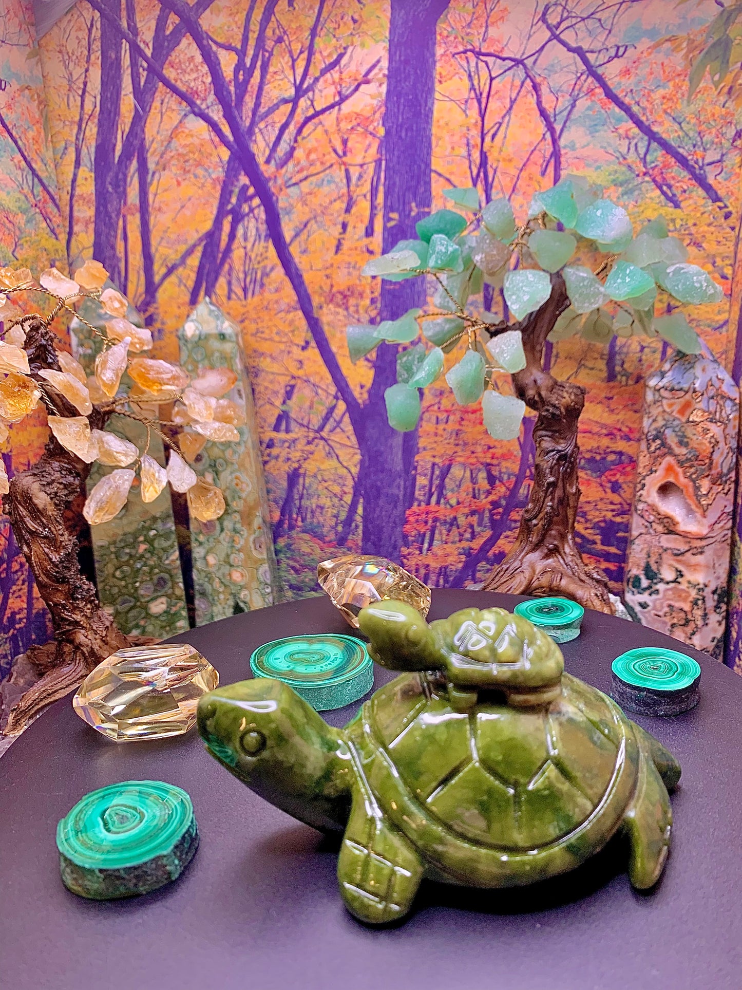 Green Jade Momma & Baby Turtle 🐢