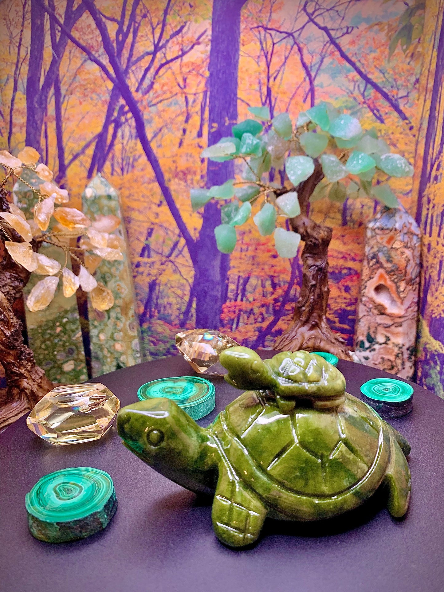 Green Jade Momma & Baby Turtle 🐢