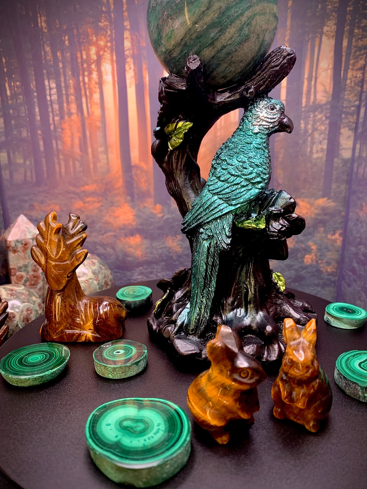 Tropical Bird 🦜 & Enchanted Tree Stump Sphere Stand