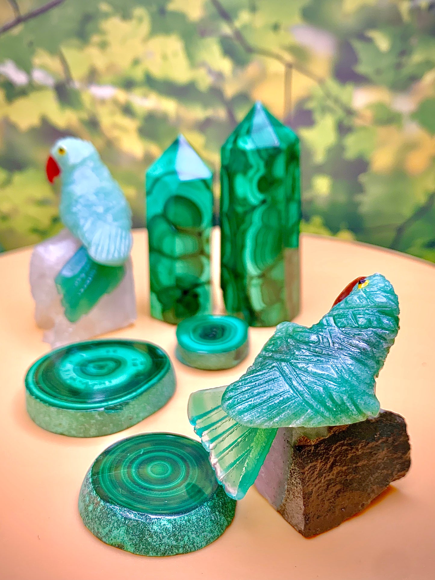 Brazilian Mini Bird Carving