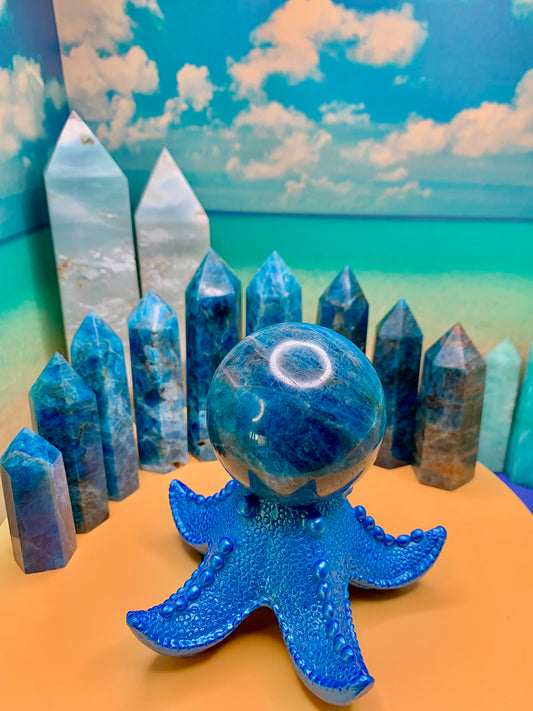Starfish Sphere Holder (Blue)