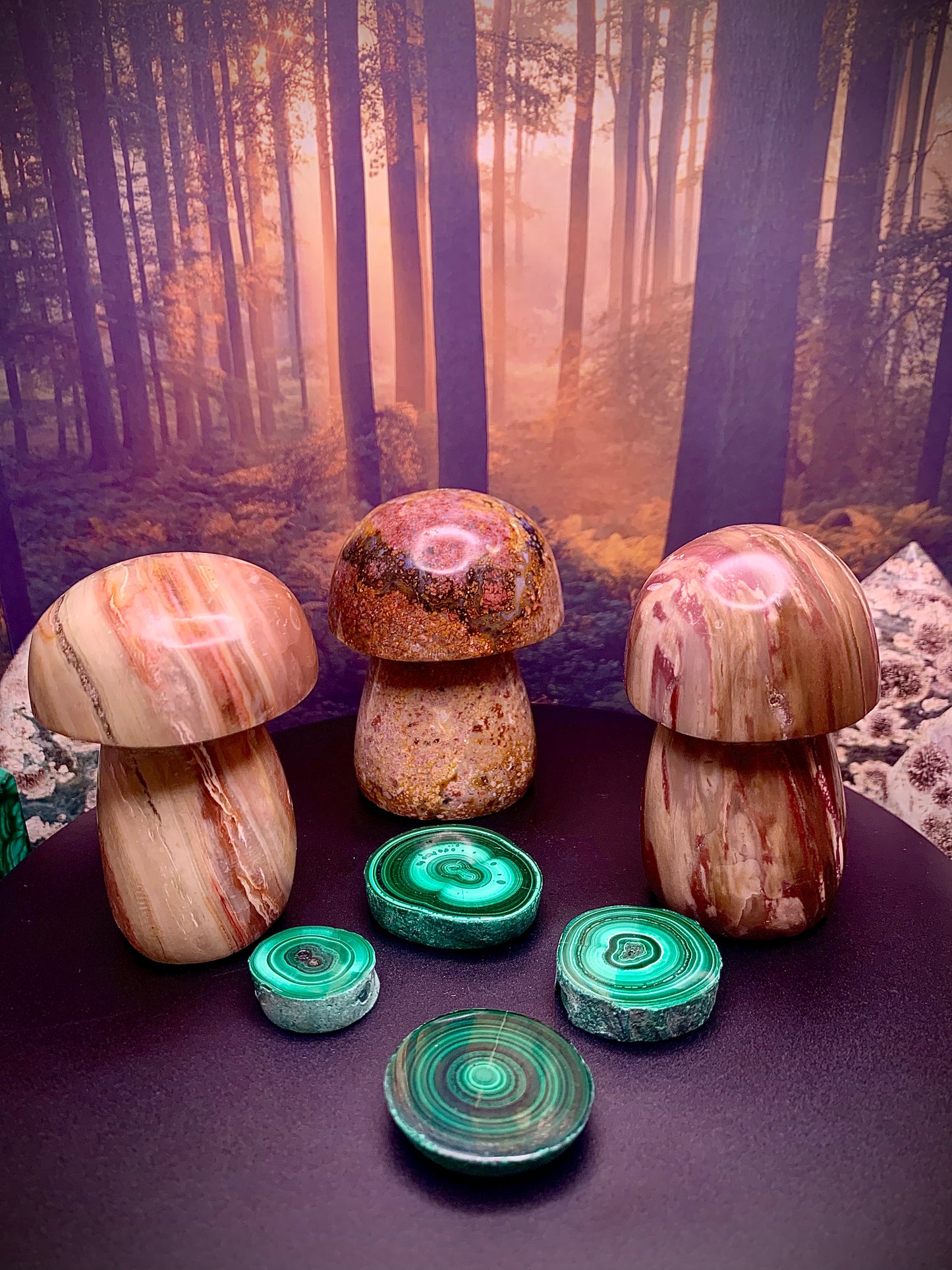 Polychrome Mushroom Carving