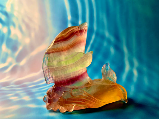 Candy 🍭 Fluorite Dolphin 🐬