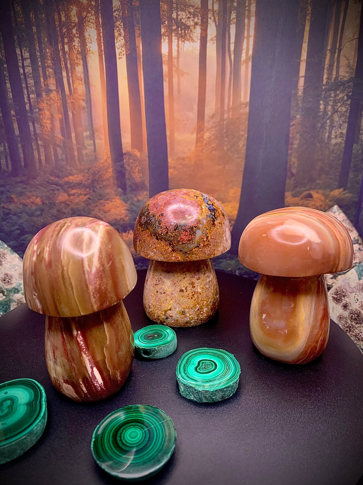 Polychrome Mushroom Carving