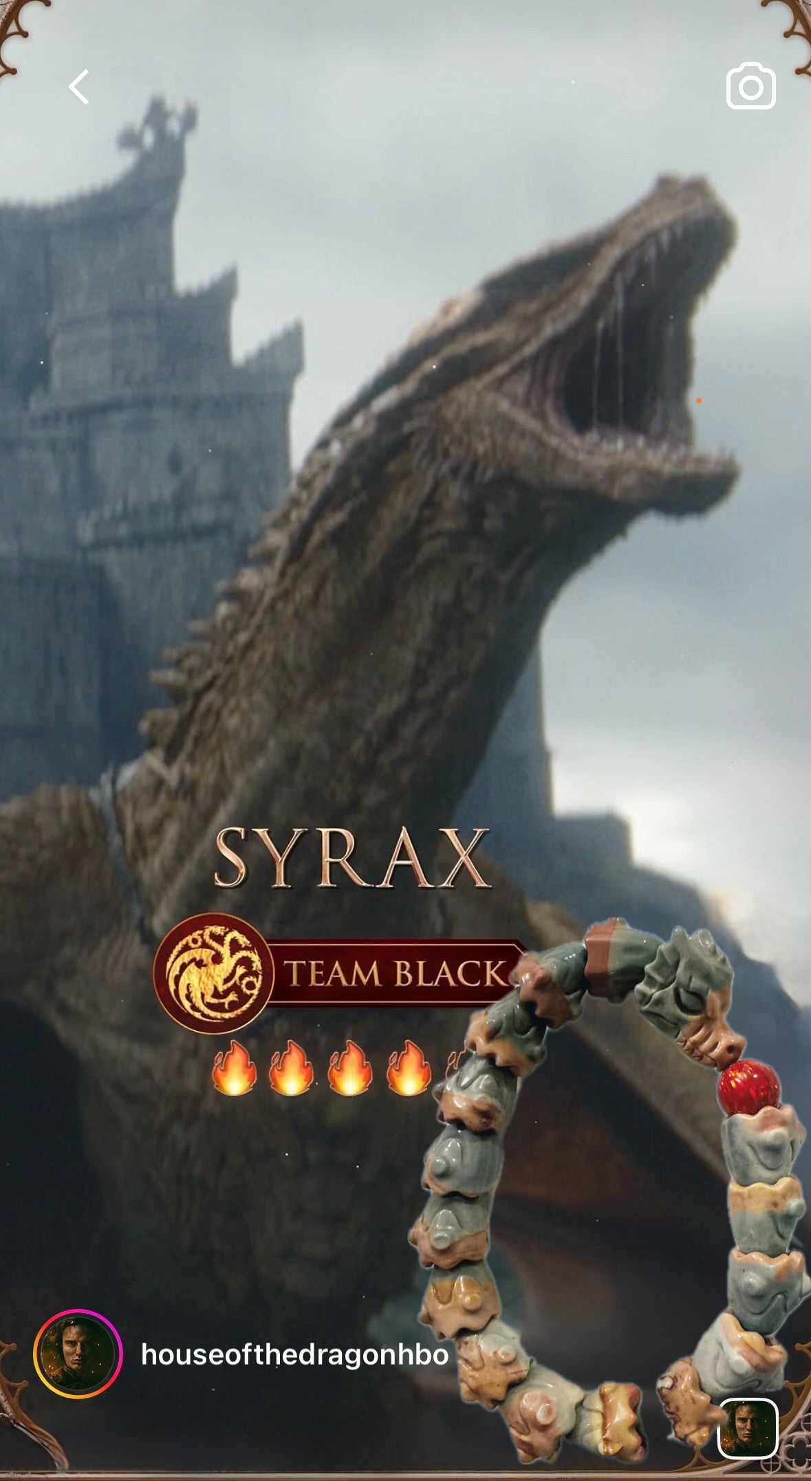 Alashan Agate Dragon Bracelet (10-14mm) SYRAX
