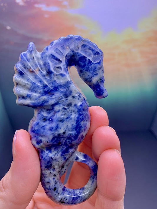 Sodalite Seahorse Carving