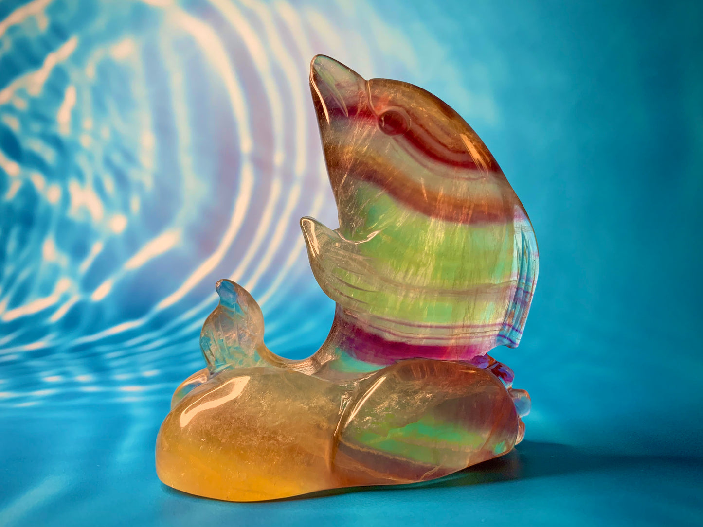 Candy 🍭 Fluorite Dolphin 🐬